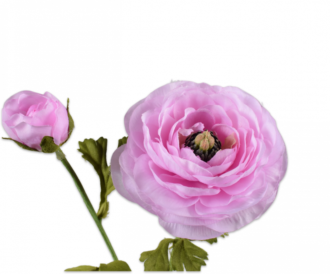 Silk Ranunculus Light Pink | All InSeason