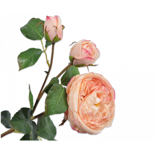 REAL TOUCH Silk Garden Rose Peach 55cm flowers for all occasions.