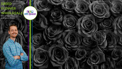 What’s so special about black roses?