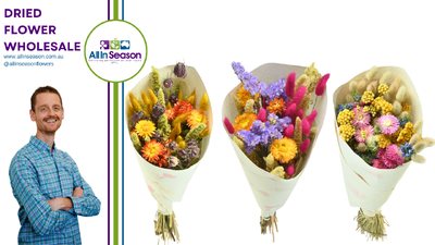 Meet Eli, Lula & Joy | New Ready 2 Go Everlasting Dried Flower Arrangements